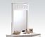 Picture of Wh Youth Mirror  W/P2