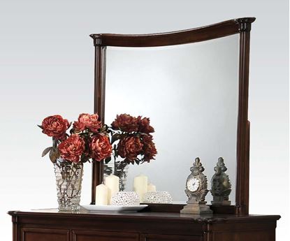 Picture of Amaryllis  Mirror